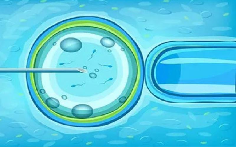 做试管会得肾病吗代生